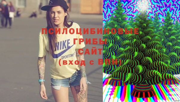 МДПВ Алексеевка
